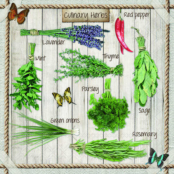 Servietten kulinarische Küchenkräuter, 33x33 cm, 2