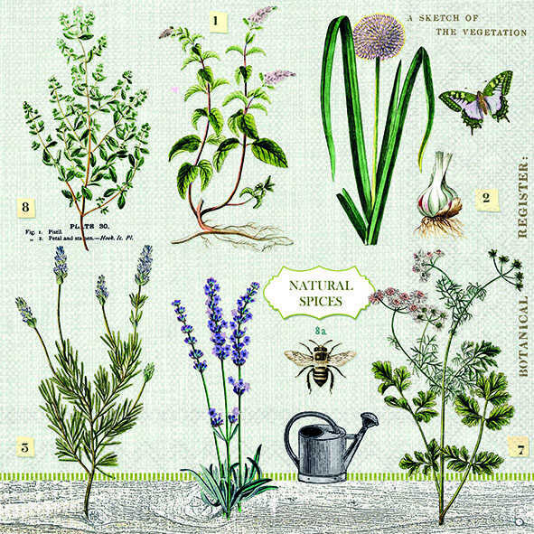 Servietten Natürliche Kräuter, 33x33 cm, 20 St&uum